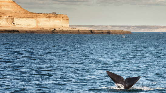 Puerto Madryn